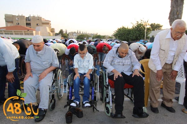 3eed ludjfddjfh (2).jpg